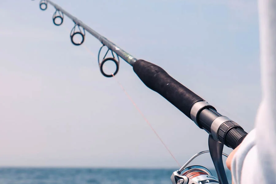 Spinning rod for beginners