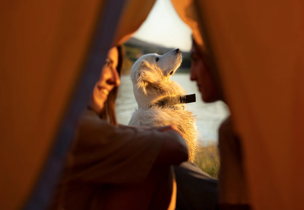 Durable Camping Pyramid Tent